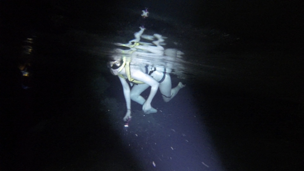 Snorkeling…in a cave, in the sea and in a lagoon