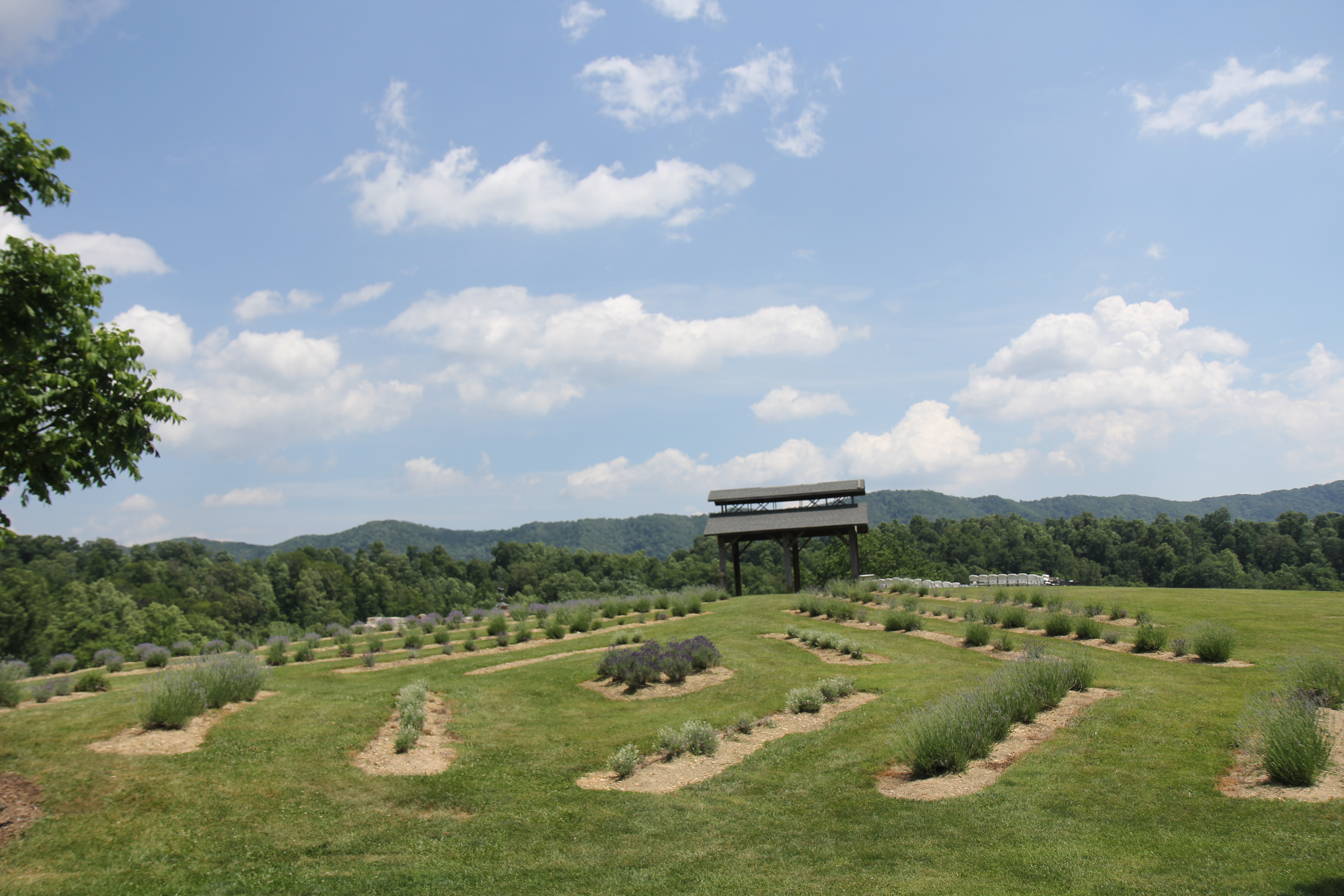 Beliveau Estate