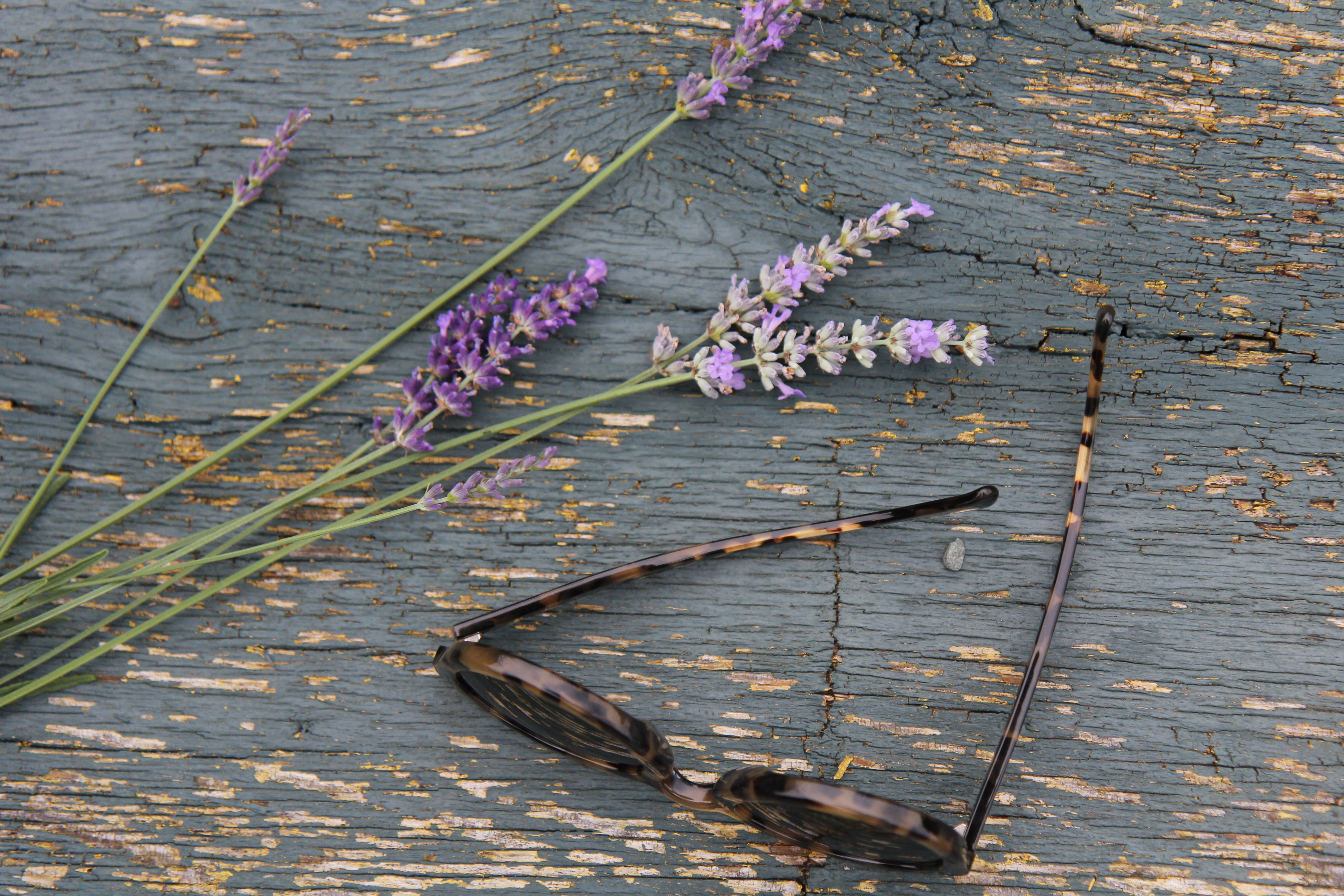 Lavender