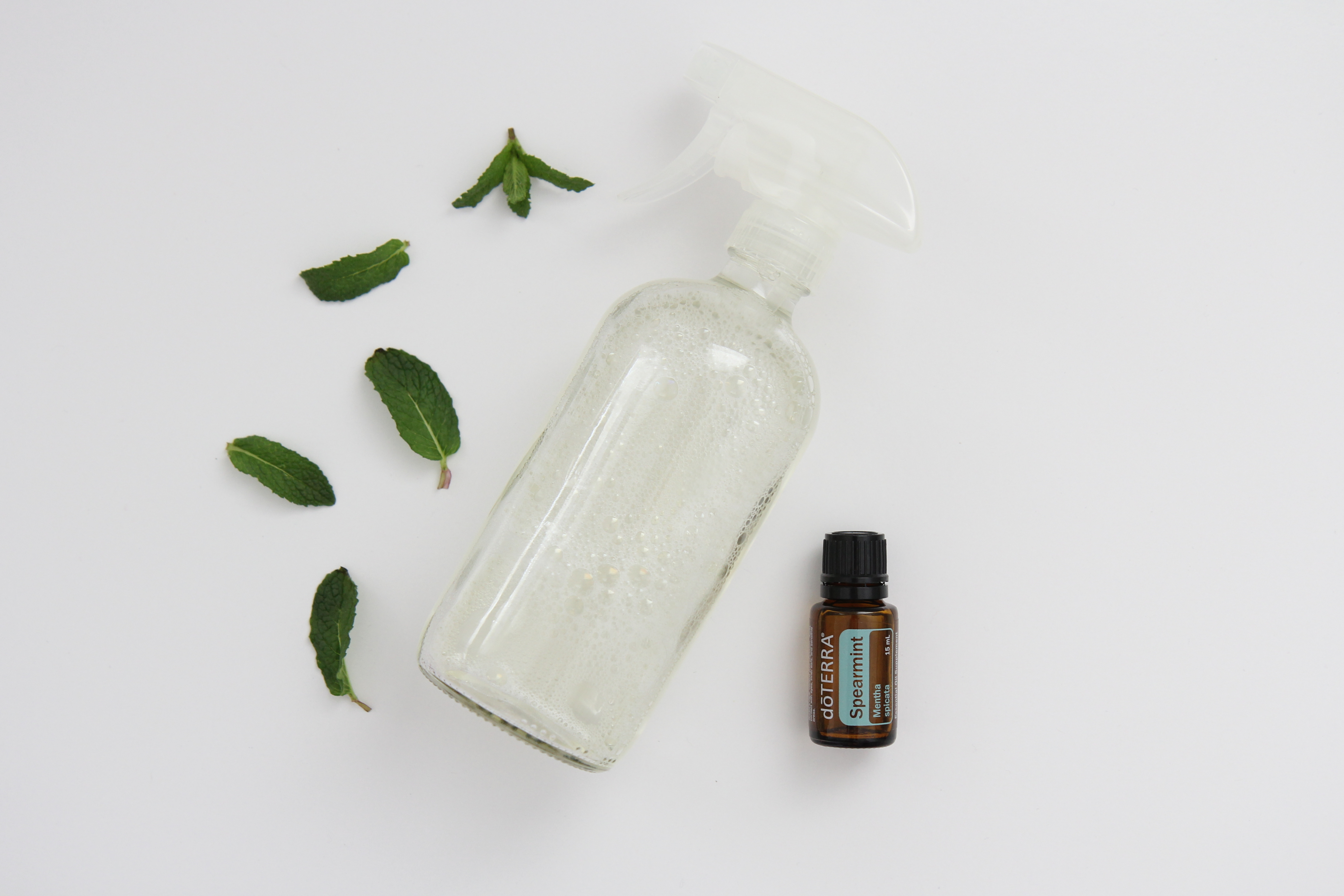 Clean with Spearmint