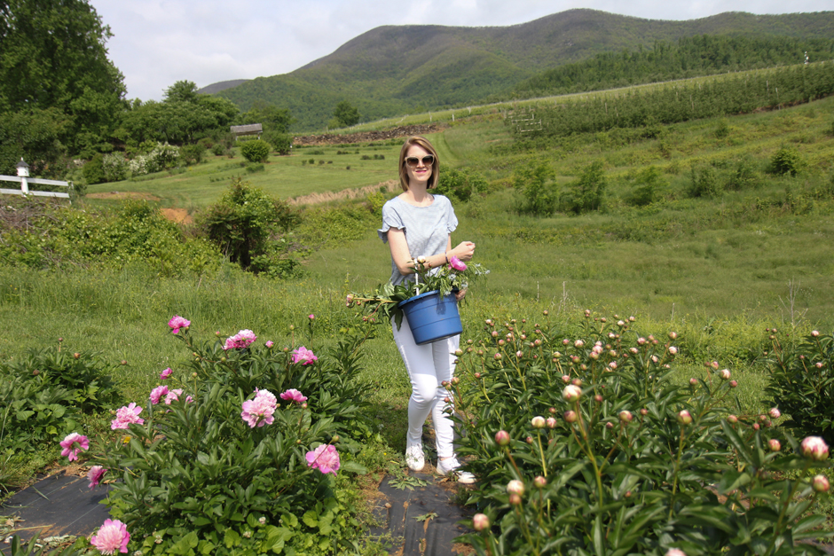 Peony Season