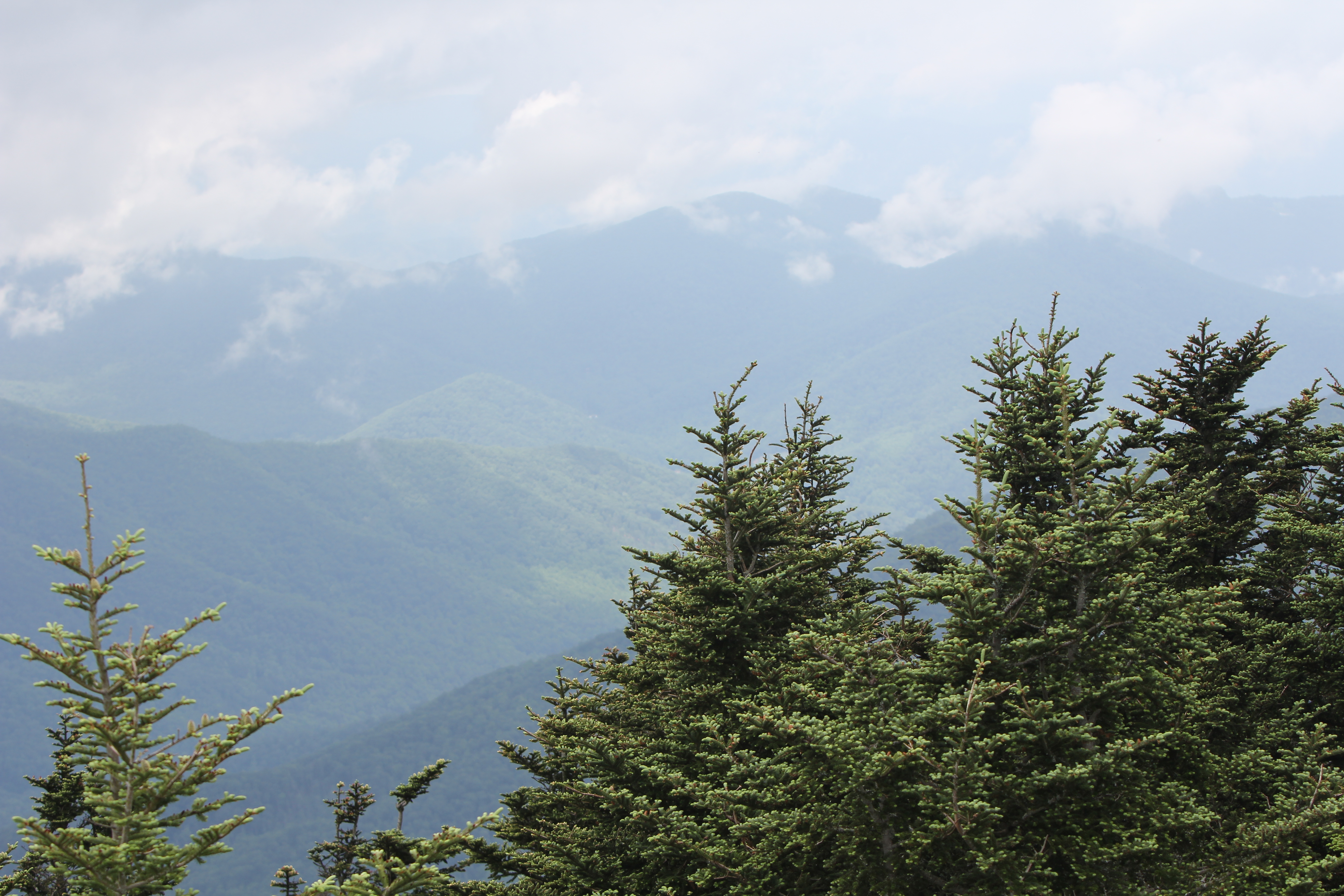 Mt. Mitchell
