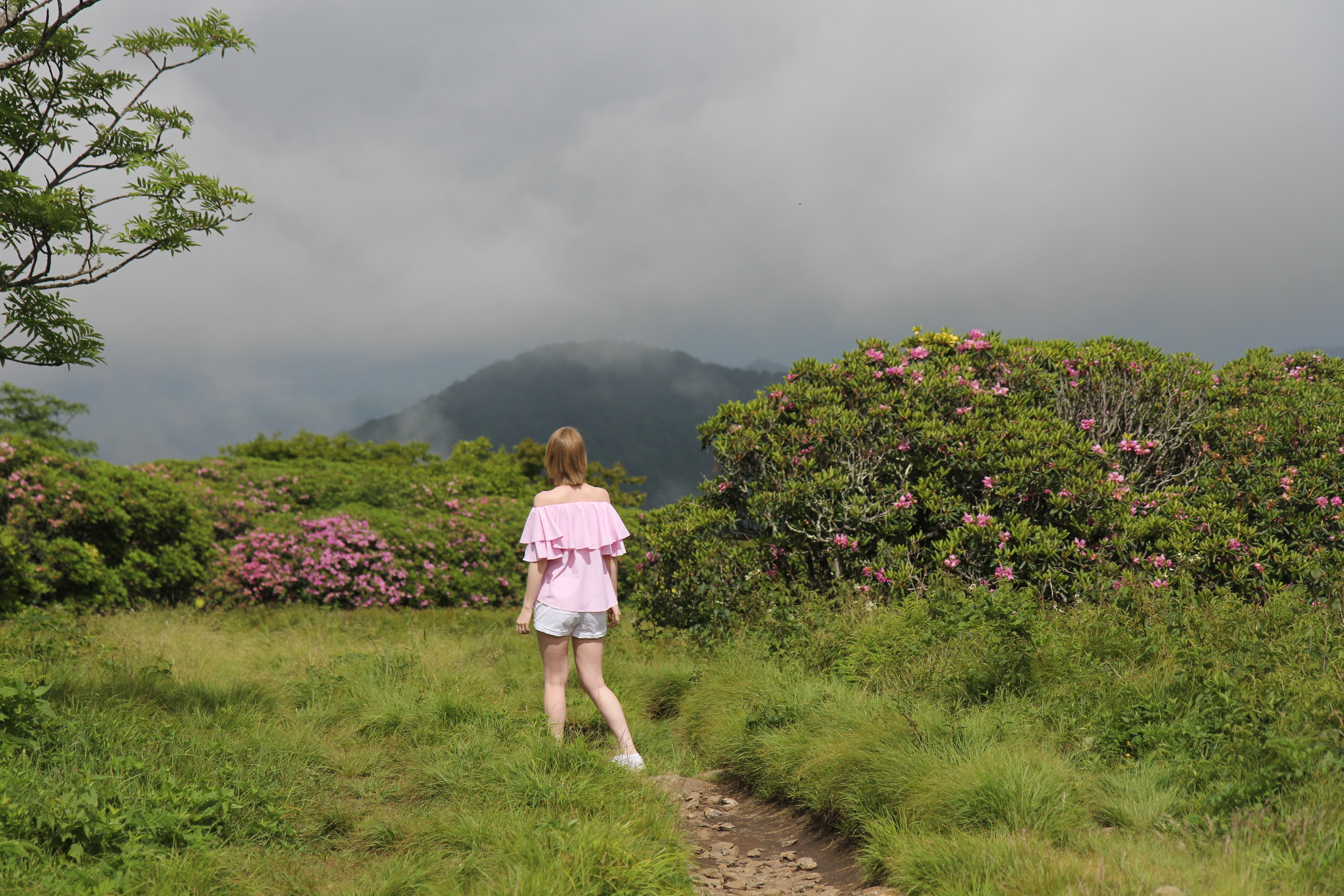 Craggy Gardens