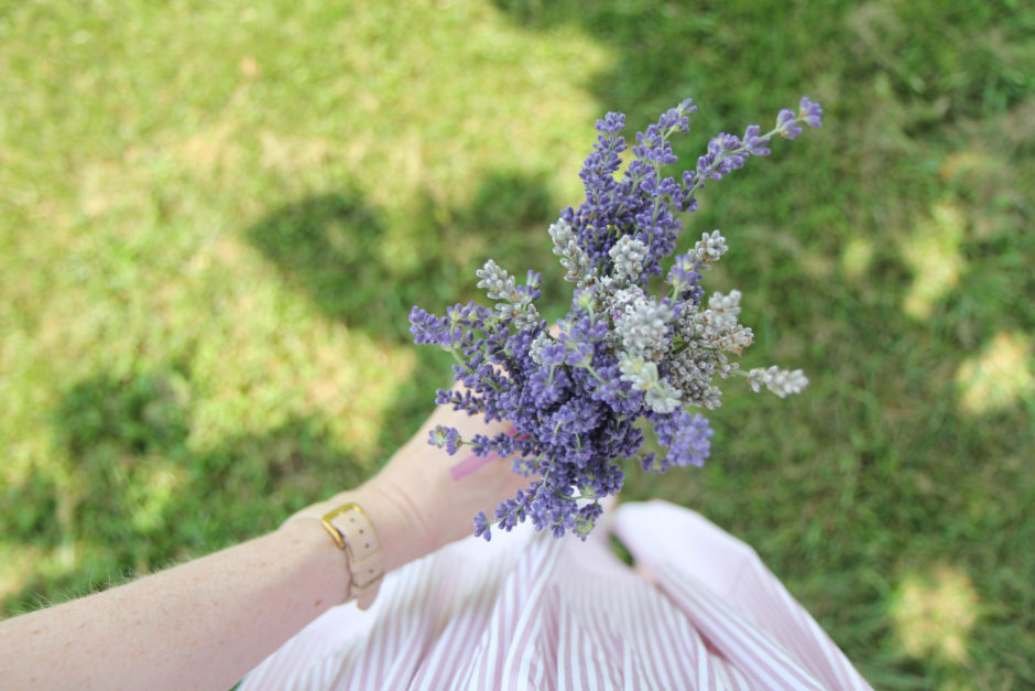 lavender farm bouquet