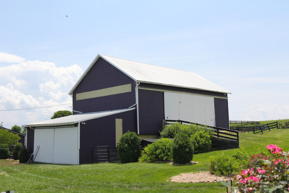 Purple Barn at White Oak Lavender Farm
