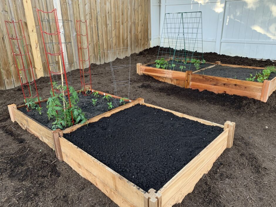 Raised beds filled with top soil and compost