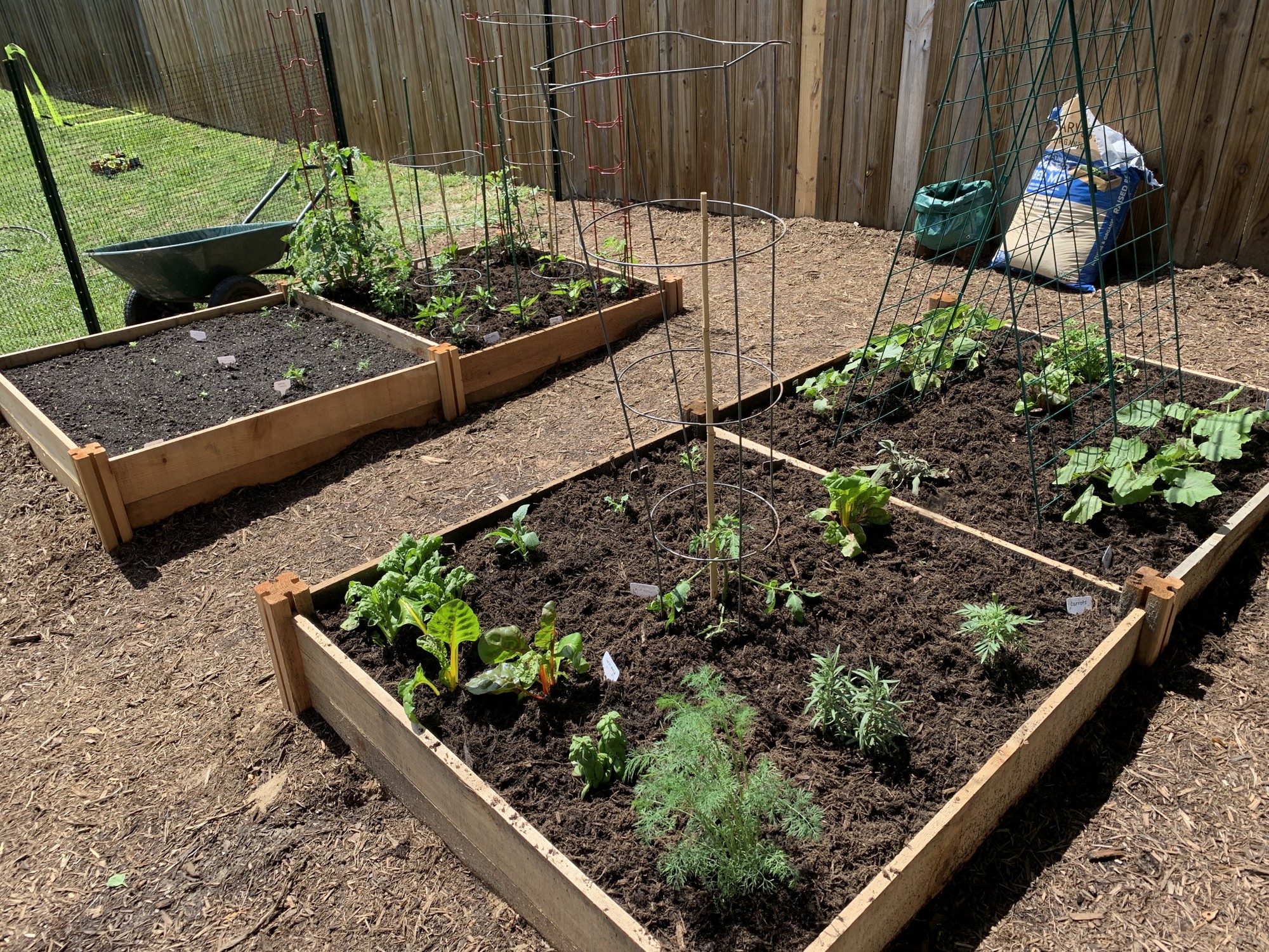 Starting a home garden from scratch – Whitney Anderson Gardening