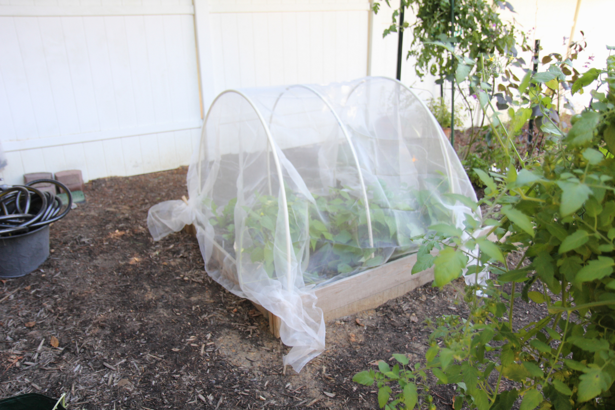 How to create easy hoop row covers in the garden Whitney Anderson