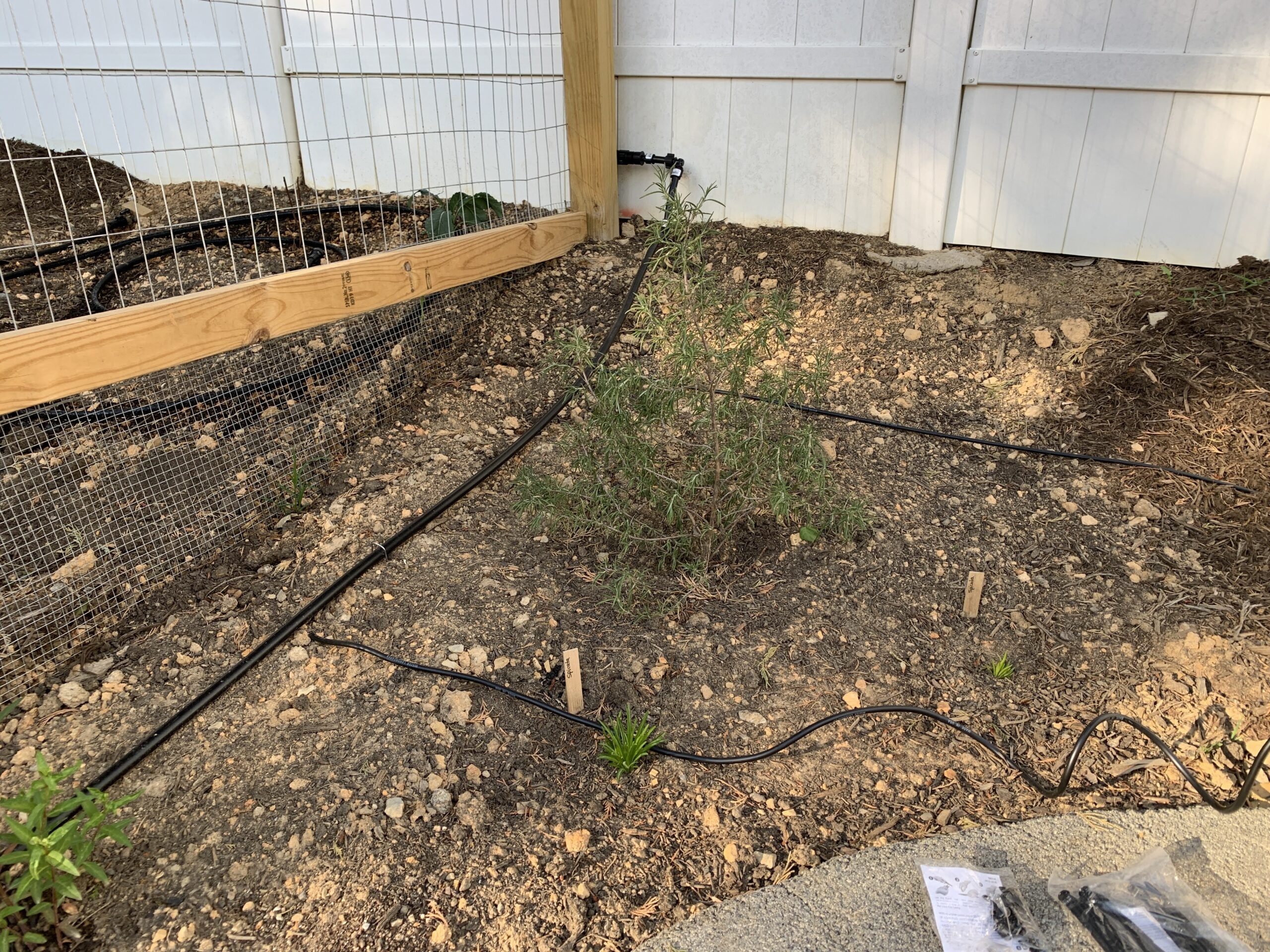 garden irrigation tubing in landscaping bed