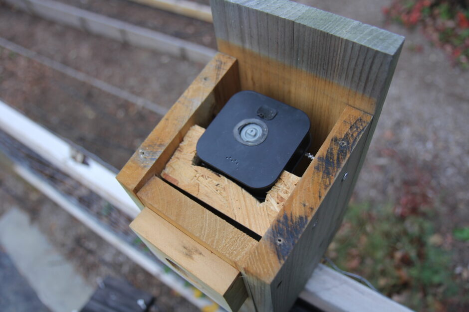Blink outdoor camera inside birdhouse