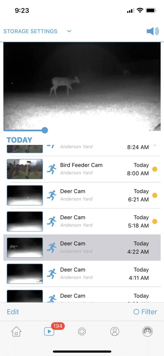 Deer video in Blink app