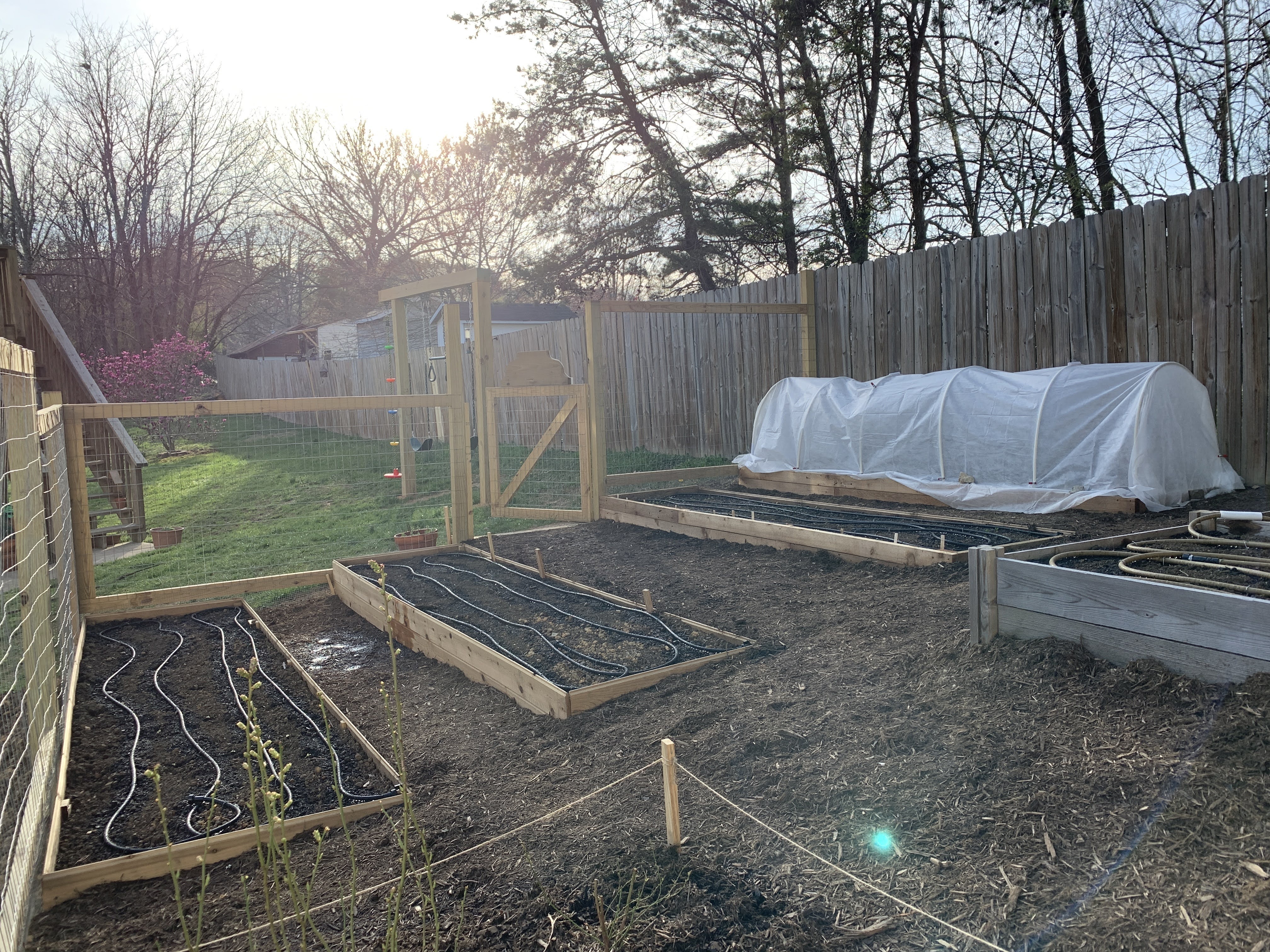 Side view of terraced raised beds in my garden