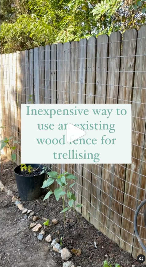 Video about how to convert regular fence into a trellis