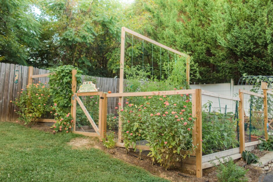 tomato trellis tower
