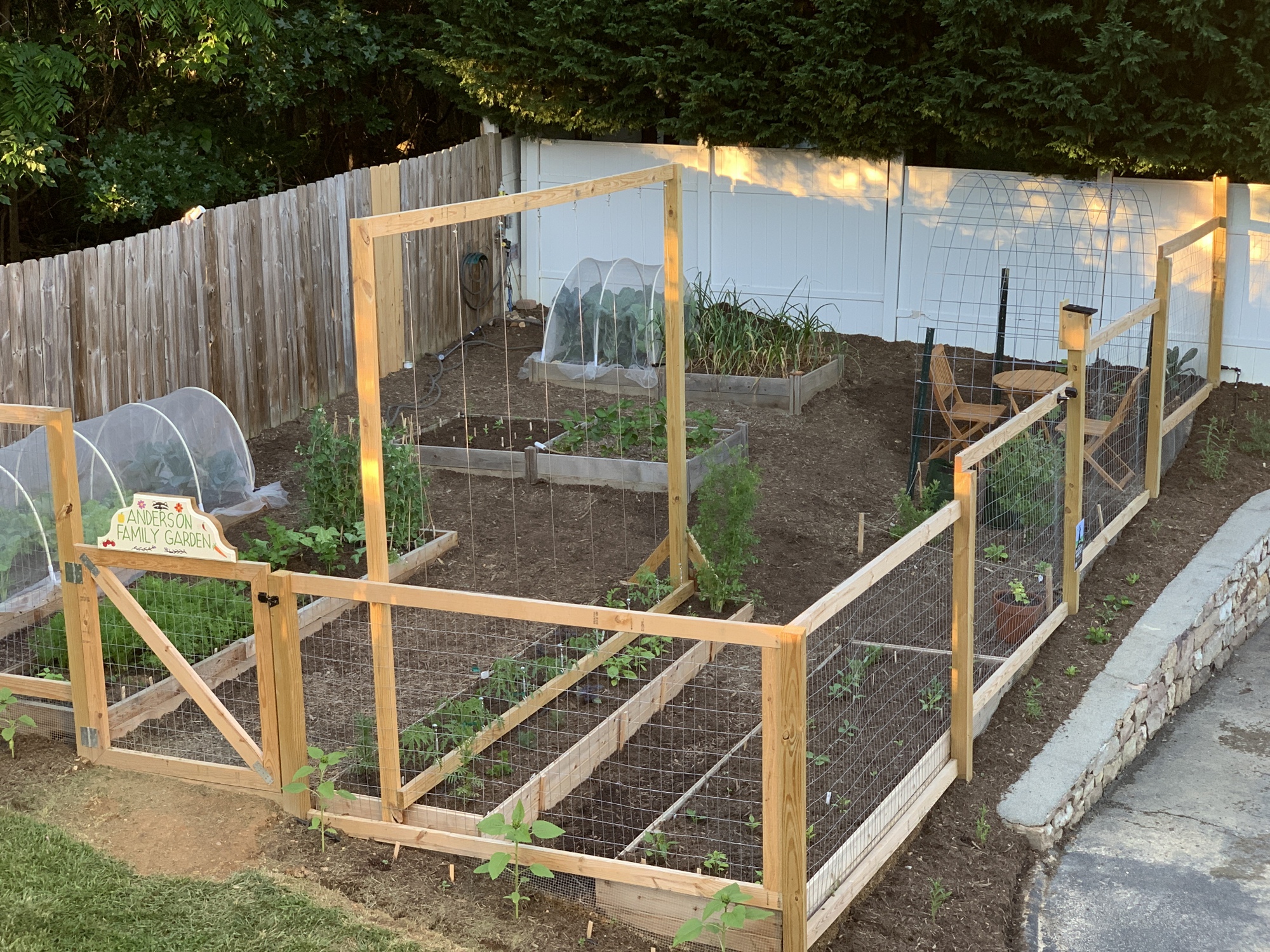 Tomato Trellis Tower – DIY Guide