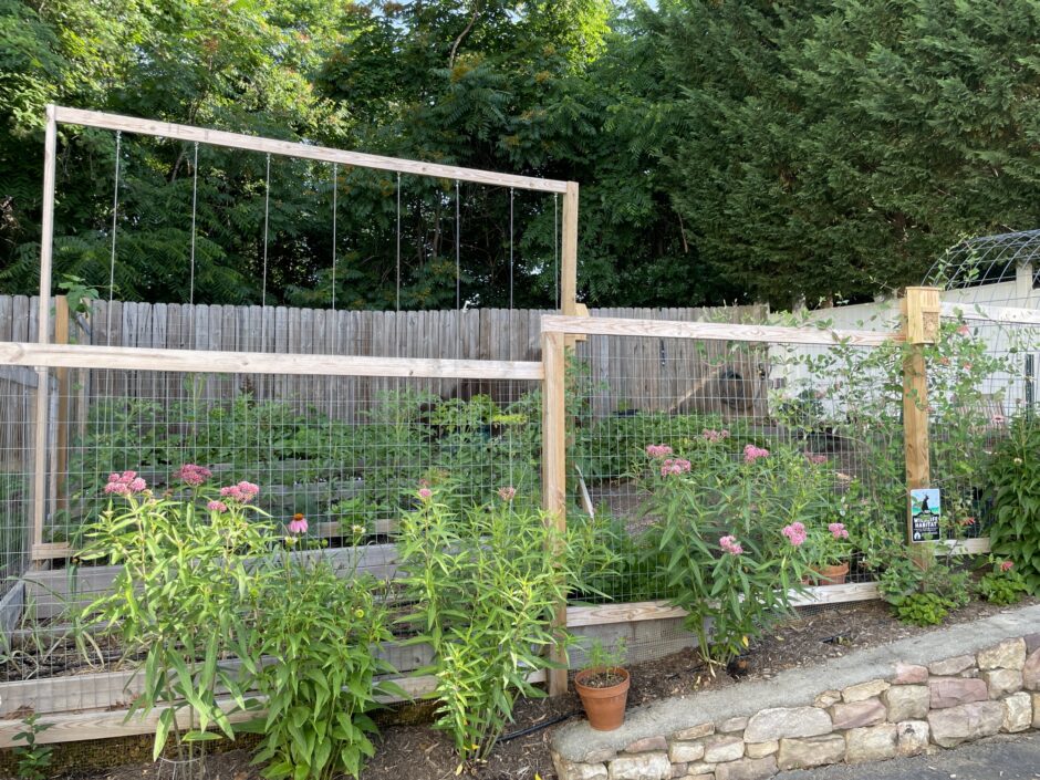 Tomato Trellis Tower DIY