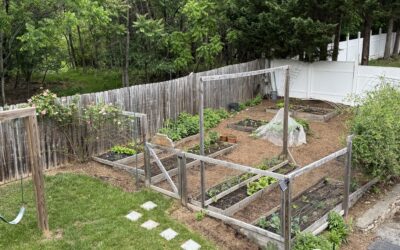 What Ticks Took From Me: How Lyme Disease Changed the Way I Garden