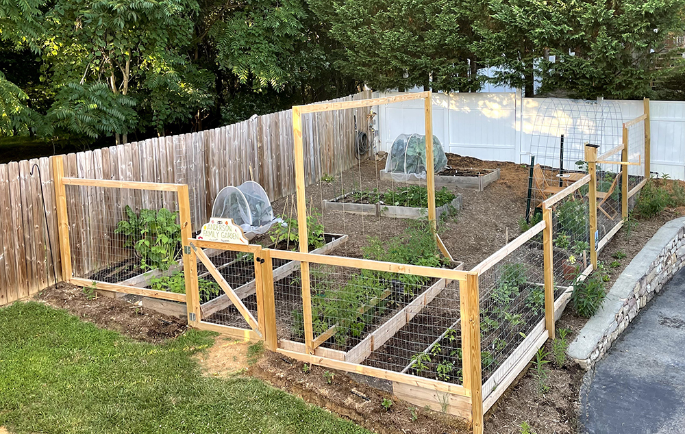 Whitney's garden